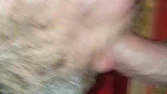 Blowjob Gl...