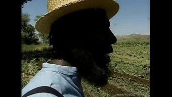 Evde Amish...