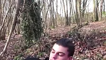 Çiftçinin ...