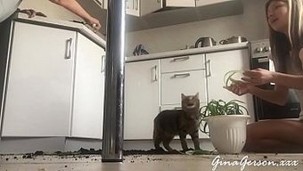 Gerçeklikt...